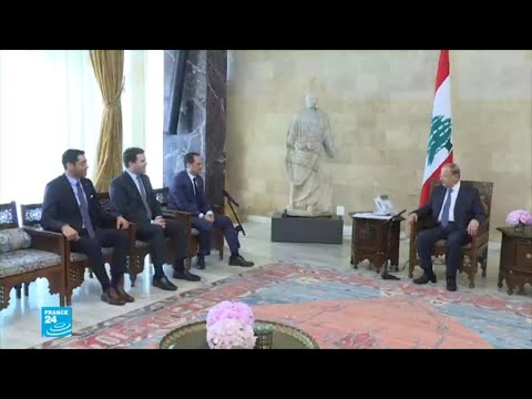 شاهد منح الجنسية اللبنانية إلى أكثر من ٣٠٠ شخص يثير الجدل