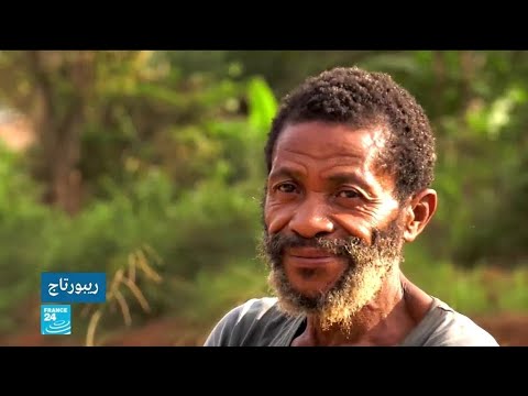 شاهد شعب البيغمي باكا يعود إلى أرضه