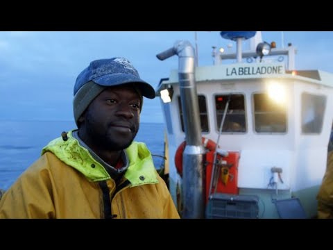 شاهد صيادون سنغال يروون تفاصيل رحلتهم إلى فرنسا للعمل