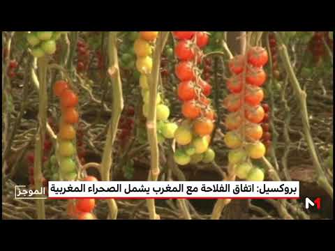 شاهد دمج الصحراء المغربية في الاتفاق الفلاحي مع المملكة