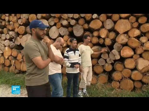 شاهد أربعة عمال مغاربة يقاضون فرنسيًا