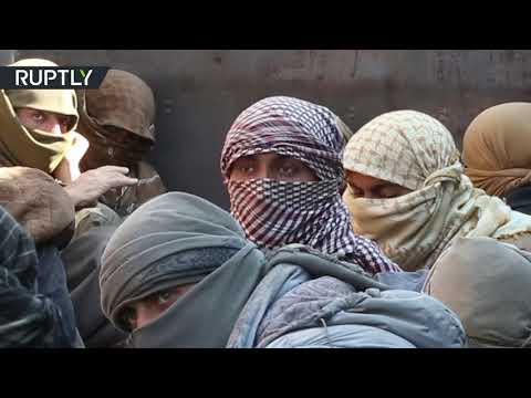 شاهد شاحنات تنقل عناصر داعش من آخر جيب لهم