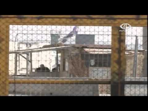 فشل المفاوضات بين الأسرى وإدارة سجن ريمون