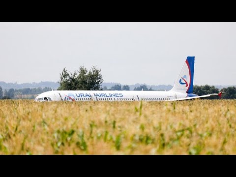شاهد الهبوط المعجزة لطائرة روسية في حقل ذرة خارج موسكو