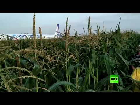 شاهد طائرة روسية تهبط اضطراريًّا في حقل مِن الذرة