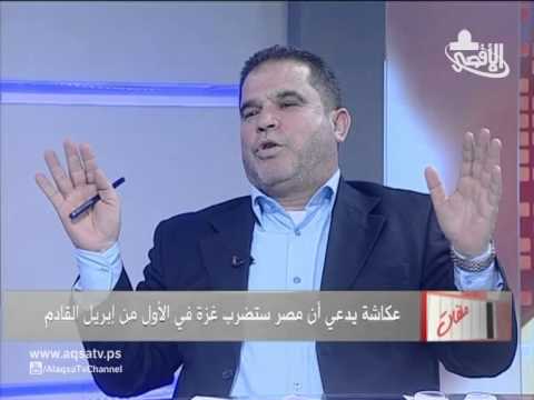 البردويل يسخر من مزاعم عكاشة بشأن ضرب غزة