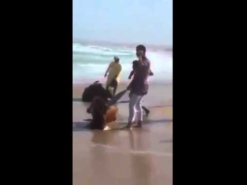 غرق سفينة إماراتية محملة بالأبقار في سلطنة عمان