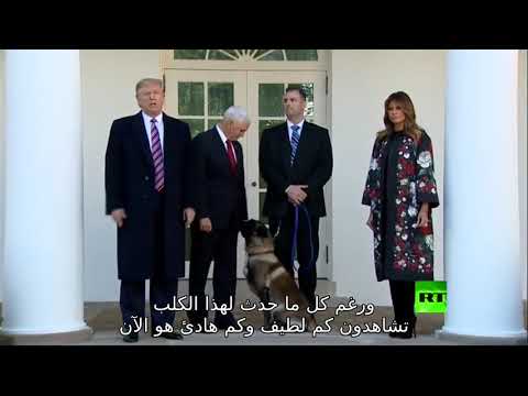 شاهد دونالد ترامب يمازح صحافيًّا أثناء تكريمه الكلب كونان