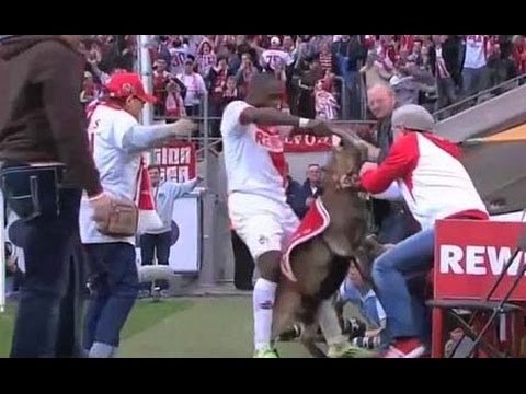 شاهد النيجيري أنتوني أوغا يعتذر لجماهير كولن