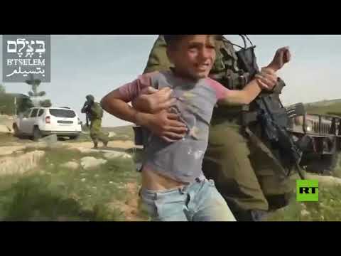 شاهد اعتقال أطفال قرب الخليل من قبل جيش الاحتلال الإسرائيلي