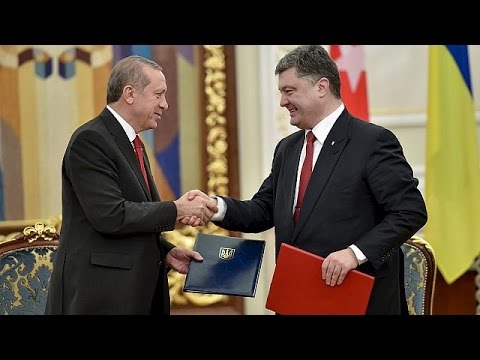 أردوغان يؤكد أهمية الشراكة بين تركيا وأوكرانيا