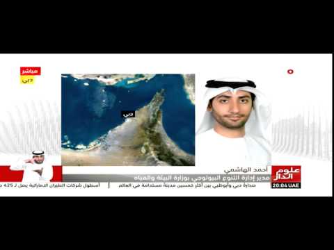 شاهد البيئة تقرر إعدام 10 أطنان من العاج