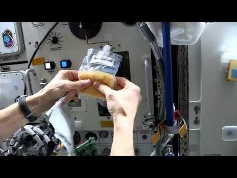 بالفيديو كيف يعيش رواد ناسا في المحطة الفضائية الدولية