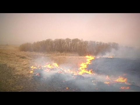 بالفيديو مقتل 26 شخصًا إثر حرائق غابات جنوب سيبريا