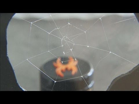 بالفيديو حرير اصطناعي متين كحرير العنكبوت