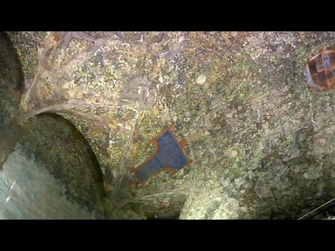 شاهد بدء عرض أجزاء من لوحة جدارية لدافنشي أمام الجمهور