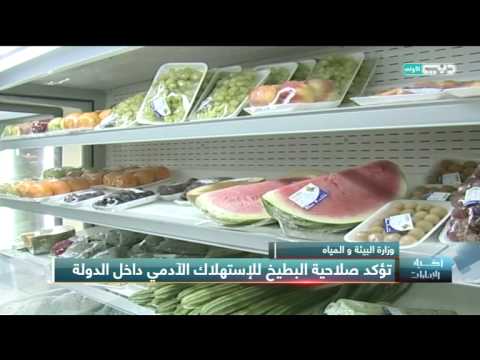 فيديو البيئة والمياه تؤكد صلاحية البطيخ