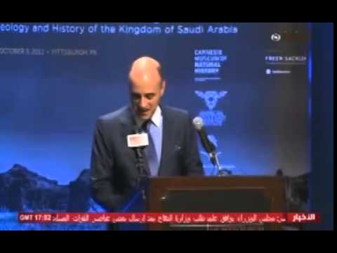 فيديو الرياض تبحث مع دول التحالف وقف العمليات الجوية