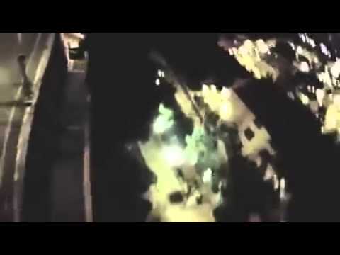 فيديو طائر يسرق كاميرا ويحلق بها بعيدًا