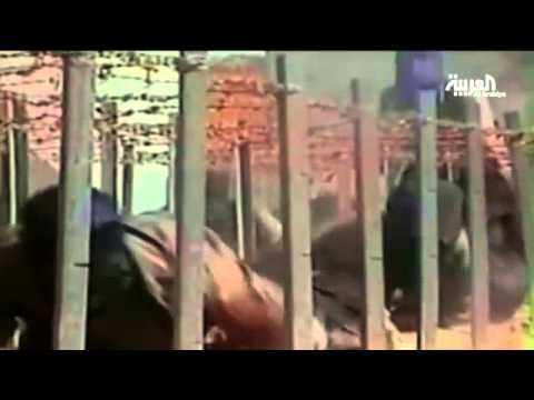 معتقل سابق في غوانتانامو من متطرف إلى ناشط ضد التطرف