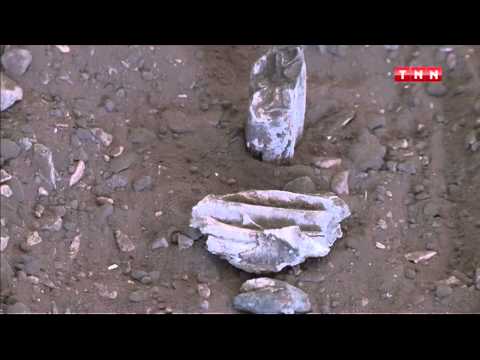 بالفيديو شواهد على حياة الإنسان في العصر الحجري