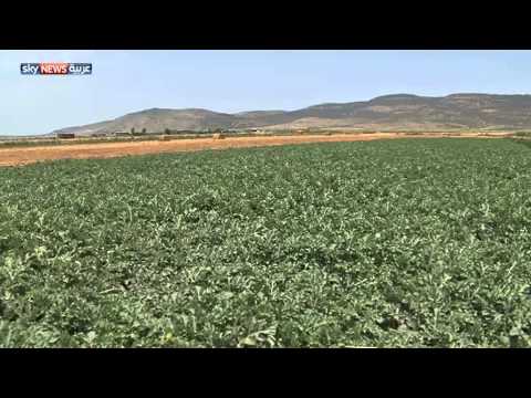 شاهد الاحتلال الإسرائيلي يطرح مشروعًا في البطوف