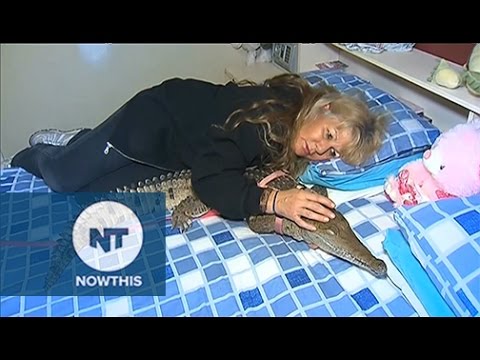 فيديو سيدة أسترالية تشارك أنثى تمساح السرير ذاته