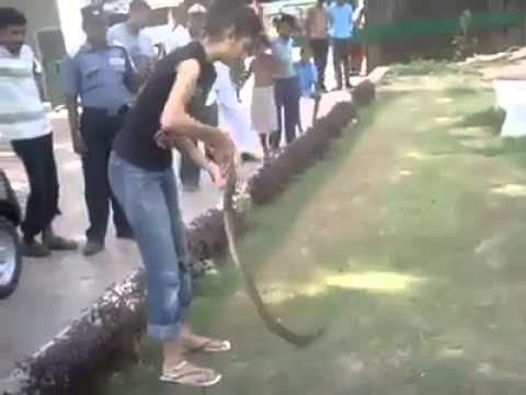 بالفيديو الشرطة والرجال يخافون من ثعبان وفتاة هندية تسيطر عليه