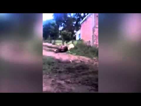 شاهد مدرب خيول شهير يضرب حصانًا بوحشية