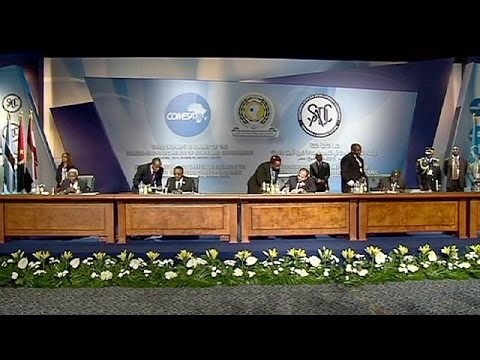 شاهد 26 دولة افريقية تتفق على إنشاء منطقة تجارة حرة