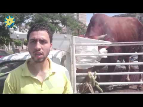 شاهد وقفة للجزارين احتجاجًا على انقطاع المياه