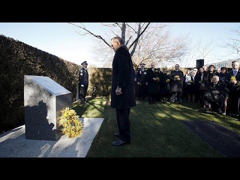 شاهد مقطع جديد لسقوط الطائرة الماليزية