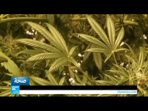 شاهد الماريجوانا دواء في المنشآت العسكرية الإيطالية