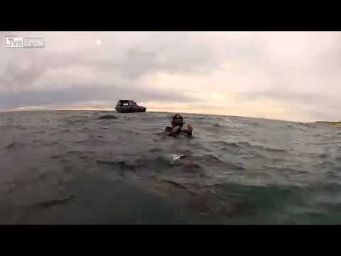 بالفيديو أسد البحر يهاجم غواصين بالقبلات والأحضان