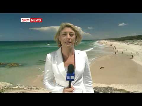 بالفيديو سمكة قرش مفترسة تهاجم شقيقتها وتقطعها إلى نصفين