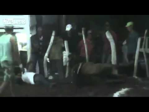 بالفيديو لحظة صعق رجل وحصانه خلال سباق للخيول