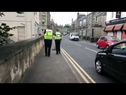 فيديو شرطيان إسكتلنديان ينقذان بطة وصغارها