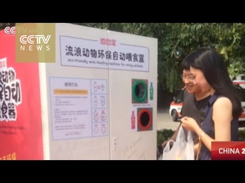 شاهد ماكينة تطعم الحيوانات الضالة في الصين