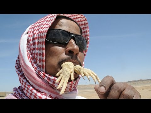 بالفيديو تعرف على أغرب عشرة أطعمة في العالم