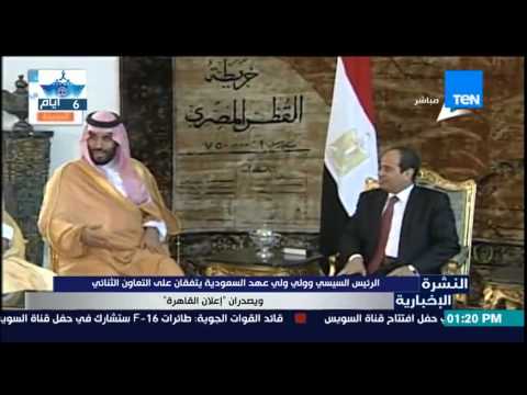 بالفيديو الرئيس السيسي وولي عهد السعودية يتفقان على التعاون الثنائي