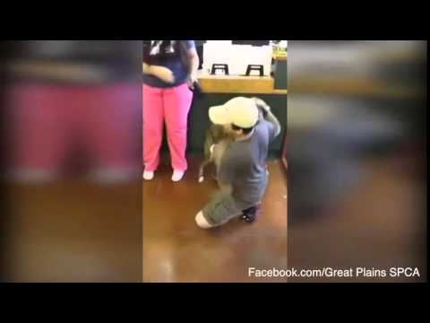 بالفيديو رد فعل كلب على لقاء مربيه بعد غياب