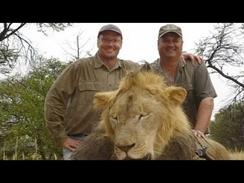 شاهدزمبابوي تطالب بتسليم الأميركي والتر بالمر