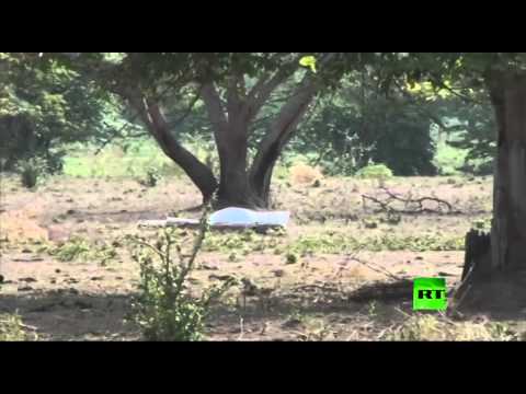 بالفيديو مقتل 11 جنديًا إثر تحطم طائرة عسكرية شرق كولومبيا