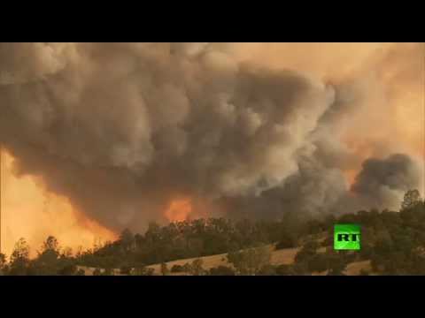 بالفيديو حريق هائل يحول غابات ولاية كاليفورنيا إلى رماد