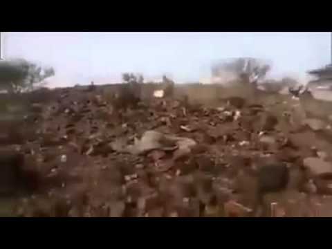 شاهد قوات الحوثي يهربون من أمام المقاومة الشعبية