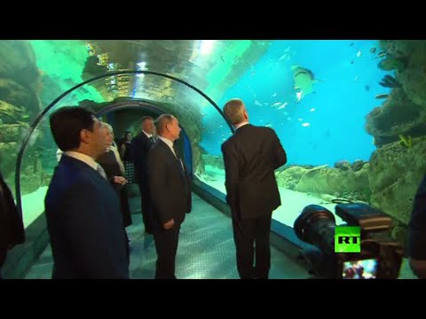 شاهد بوتين يزور مركز البيئة البحرية في موسكو