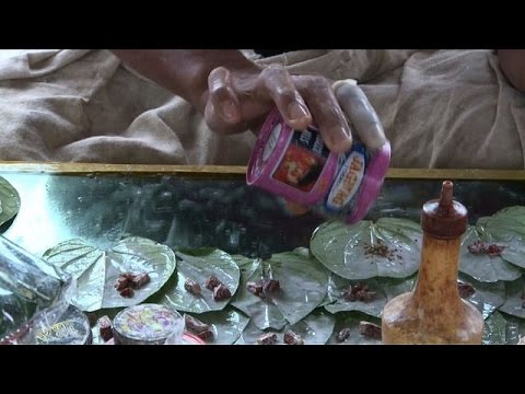 تعرف على مخاطر مضغ نبتة التنبول على صحة الإنسان