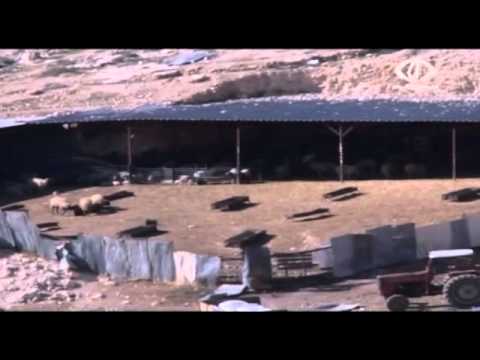 شاهد العفو الدولية تدعو إلى وقف تهجير عتير وأم الحيران