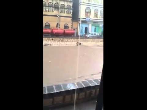 شاهد طفل شجاع يغامر لإنقاذ صديقه من الغرق