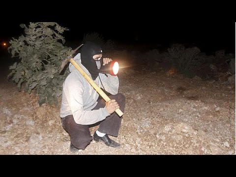 شاهد لجان شعبية فلسطينية في الضفة الغربية المحتلة